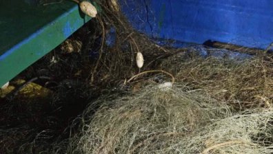 ИАРА засече незаконен риболов и над 200 метра мрежи в района на Русе
