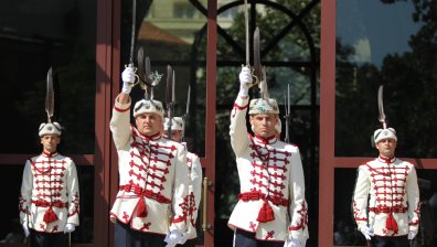Тържестена смяна на караула пред президентството