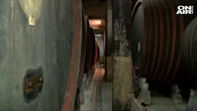 Очакваме по-слаба реколта на грозде