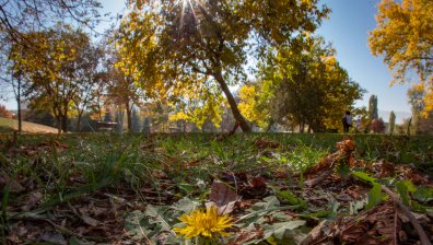 Слънцето ще изгони сутрешните мъгли в събота с температури до 18 градуса