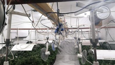 Удариха модерна наркооранжерия със собствена електроцентрала в Пазарджик