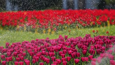 Времето днес: Облачно и дъждовно с температури до 17 градуса