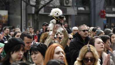 Протест с домашни любимци в София срещу насилието над животни