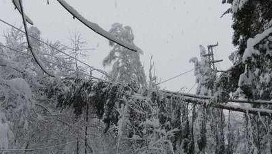 Пуснаха тока в Троянско