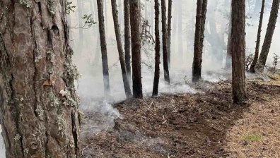 Пожарът край Карнобат е локализиран