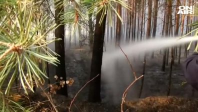 Огромен горски пожар бушува и в германската провинция Бранденбург