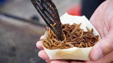 Бизнес за милиарди: Насекоми и червеи влизат в менюто на европейците
