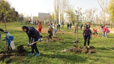 Нови 64 дървета засадиха доброволци в парк "Възраждане" в София