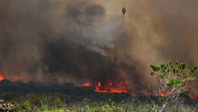 Израел поиска помощ от България за пожара край Ерусалим