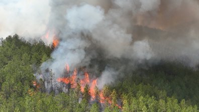 Горски пожар в Турция затвори магистрала към България