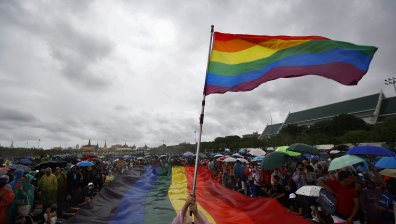 Зоофилите искат да се присъединят към ЛГБТ, един от тях - привлечен от глигани