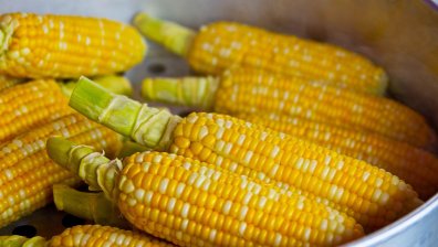 Кои са най-добрите източници на протеини сред зеленчуците?