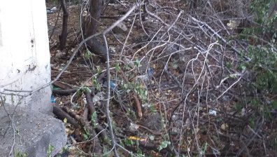 Храстите край столично училище са се превърнали в обществена тоалетна