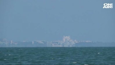 Мъртви овце изплуваха на пажовете в Бургас и Поморие