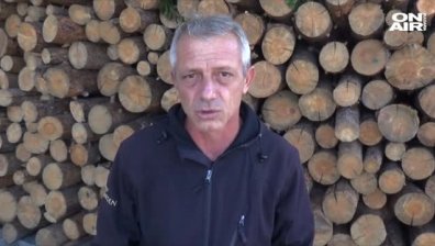Дървата за огрев в Пловдив са с 20% по-скъпи за новия отоплителен сезон
