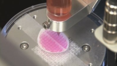 3D принтерите ще улесняват учебния процес