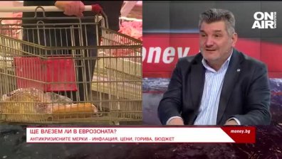 Ще влезе ли България в еврозоната?