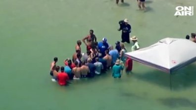 Доброволци спасиха живота на пет кита във Флорида