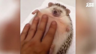 Click 29 октомври част 1