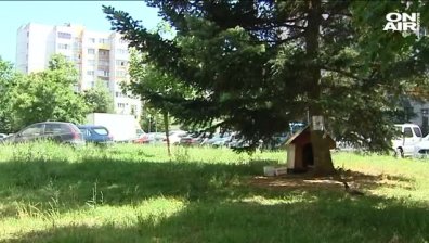 Първият град за кучета ще бъде открит в кв. "Младост" 1