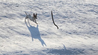 Облачна и снежна неделя с максимални температури до 7 градуса