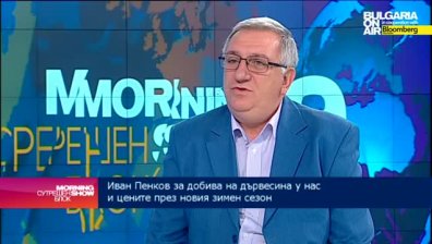 Слаб контрол на институциите е в основата на незаконната сеч в горите