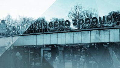 Реновация за милион в столичния зоопарк