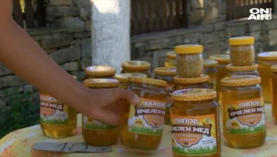 С до 20% скок в цената на меда заради високата смъртност на пчелите