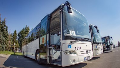 Шофьори на протест: Слизат от автобуси, които карат до летище София, Зоопарка, НИМ