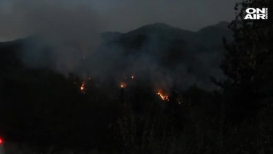 Пожар горя в симитлийското село Долно Осеново