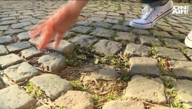 Граждани протестират срещу подмяната на паветата на бул. "Прага"