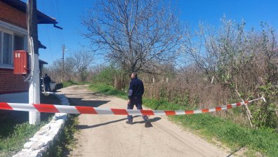 Повсеместен проблем: Повече не може кучета да убиват хора, искат спешни мерки