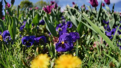 Очаква ни гореща неделя, но на места ще има гръмотевици и градушки
