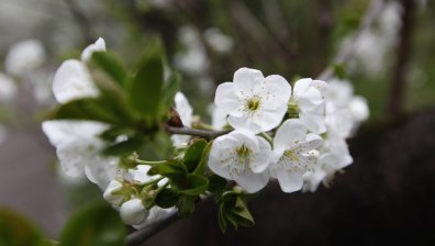 Времето днес: Повече слънце и температури до 19°