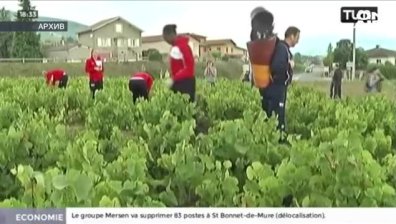 Трима българи са задържани във Франция за трафик на хора