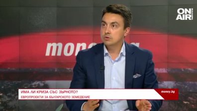 Има ли криза със зърното?