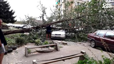 Буреносен вятър повали дървета! 7000 домакинства останаха без ток