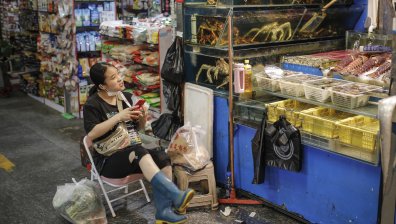 Очаква ни вълна от болести, предавани от животни на хора