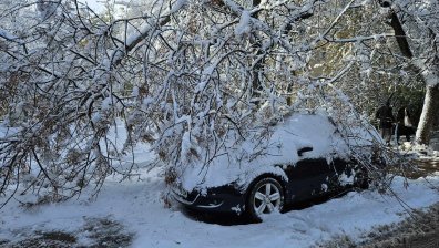 Софиянци са гневни - десетки коли са смачкани от дървета, някои квартали все още чакат ток