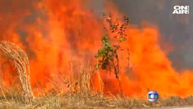 Мащабни пожари унищожават тропическата гора в Амазонка