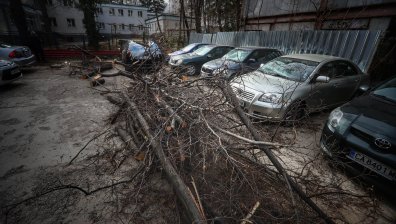 Хвърчат ламарини, огради, падат дървета: Столичната община реагира на сигнали
