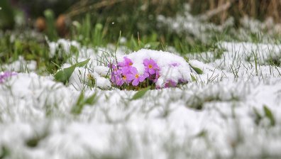 Слънце, вятър, валежи - дори от сняг на места
