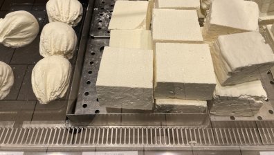 Фермер: Има некачествени млечни продукти на пазара заради хибридните породи