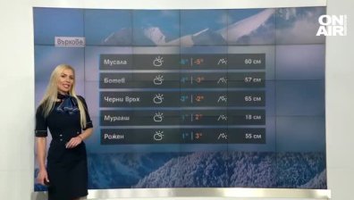 Централна прогноза