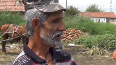 Открит е нов случай на африканска чума във Видин