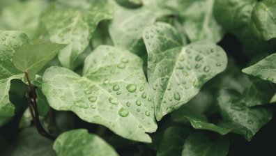 НИМХ: Сряда идва с дъжд, гръмотевици и градушки