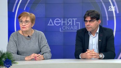 Политолози: Условието на Австрия е двойствено, конституционните промени ще се случат
