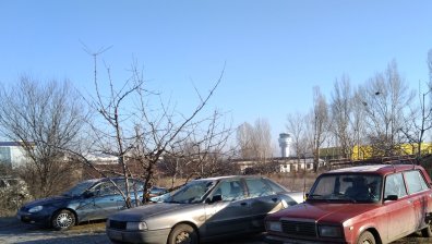 Паркиране между дръвчета и агресивни бездомни кучета