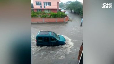Приземни етажи и дворове се наводниха в село Белозем (видео)