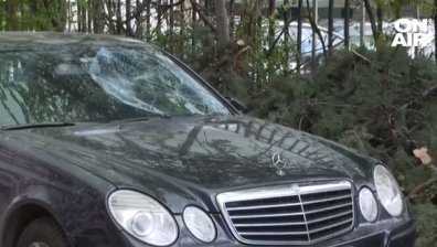 "Пий една студена вода": Клон смачка паркирана кола в София